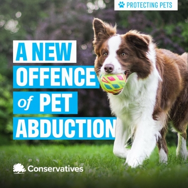 A new offence will be created to tackle Pet Theft.