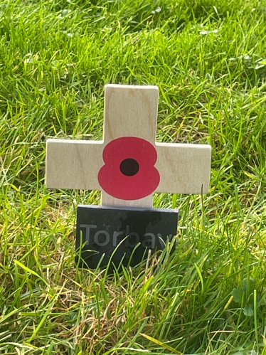 A Poppy Planted in Parliament's Constituency Garden of Remembrance.
